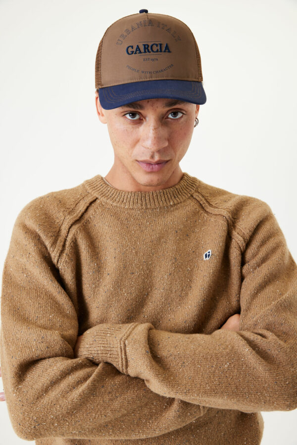 Pull camel
